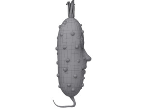 pickle cucumber cartoon Modello 3D