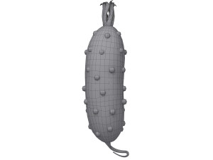 pickle cucumber cartoon Modello 3D