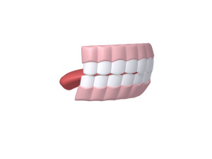 human mouth 02 teeth cartoon 3Dモデル