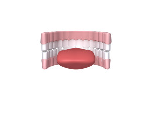 human mouth 02 teeth cartoon 3Dモデル