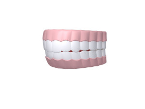 human mouth 02 teeth cartoon 3Dモデル