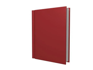 Book cartoon 3D Model