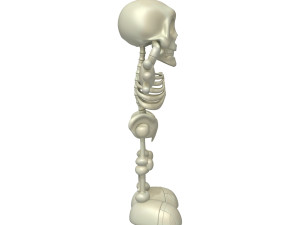 skeleton cartoon Modèle 3D