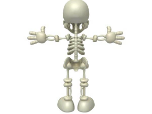 skeleton cartoon 3D Model