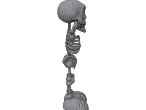 skeleton cartoon Modèle 3D