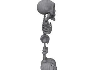 skeleton cartoon 3D Model