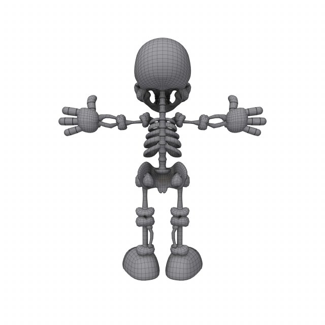 Skeleton Cartoon 3D Модель In Анатомия 3DExport