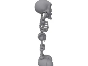 skeleton cartoon 3D Model