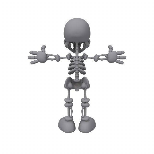 Skeleton Cartoon 3D Модель In Анатомия 3DExport