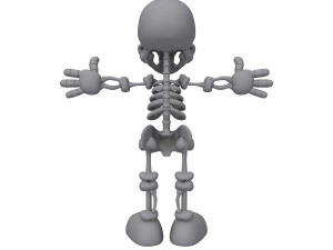 skeleton cartoon 3D Model