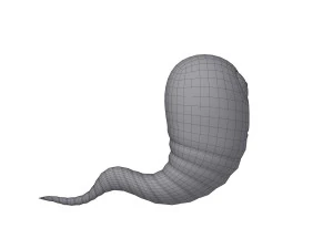 worm cartoon 3D Model