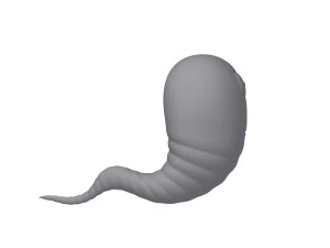 worm cartoon 3D Model