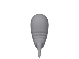 worm cartoon 3D Model