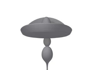 Sombrero and maracas cartoon 3D Model