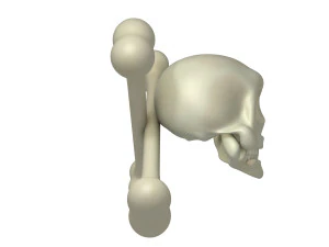 skull and bones cartoon 3D Model