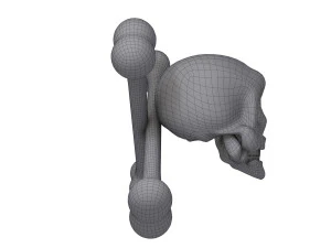 skull and bones cartoon 3D Model
