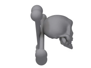 skull and bones cartoon 3D Model