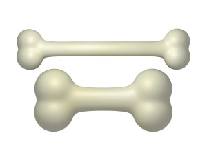 bones cartoon 3Dモデル