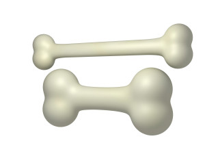 bones cartoon 3Dモデル