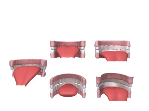 human mouth 03 teeth cartoon 3D Model