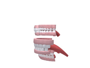 human mouth 03 teeth cartoon 3D Model