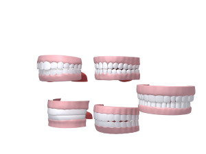 human mouth 03 teeth cartoon 3D Model