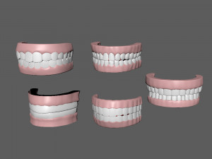 human mouth 03 teeth cartoon 3D Model