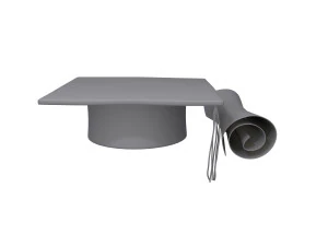 Graduation cap and diploma 3D Model