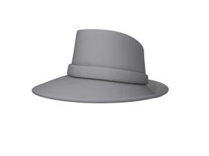 Hat cartoon 3D Model