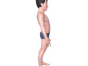 male base mesh cartoon 3D Model
