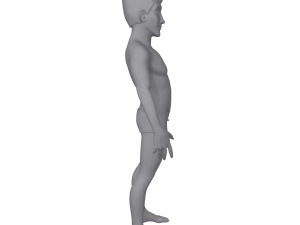 male base mesh cartoon Modelo 3D