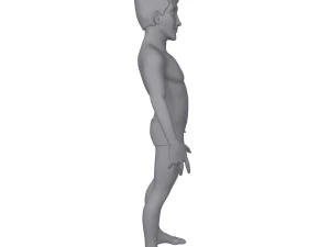 male base mesh cartoon 3D Model