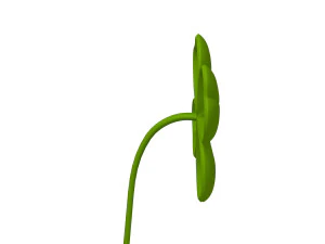 तिपतिया घास कार्टून 3D मॉडल