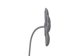 तिपतिया घास कार्टून 3D मॉडल