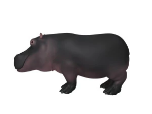 hippopotamus cartoon 3D Model