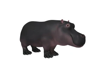 hippopotamus cartoon 3D Model
