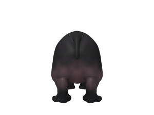 hippopotamus cartoon Modelo 3D