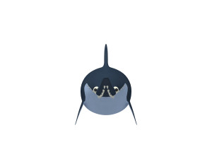 shark cartoon Modèle 3D