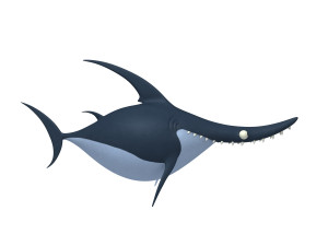shark cartoon Modèle 3D