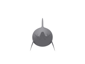 shark cartoon Modèle 3D