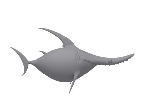 shark cartoon Modèle 3D