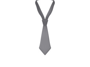 tie cartoon 3D Модель