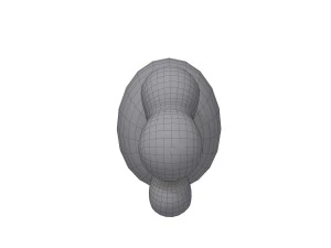 carrot cartoon 3D Model