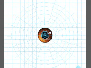 turtle cartoon 3D Model