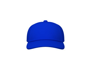 baseball cap cartoon 3D 模型