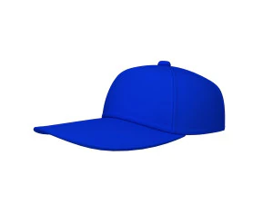 honkbalpet cartoon 3D Model