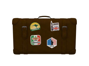 Travel bag cartoon 3D Model