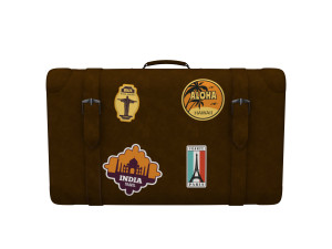 Travel bag cartoon Model 3D