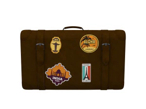Travel bag cartoon 3D Model