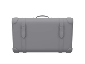 Travel bag cartoon 3D Model